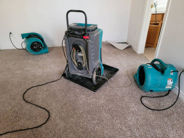 Best Flooded house restoration  in Bellevue, MI