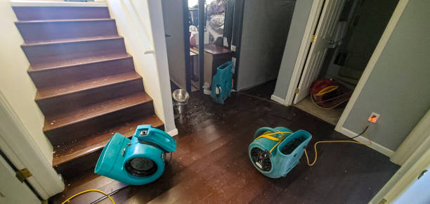 Best 24/7 water damage repair  in Bellevue, MI