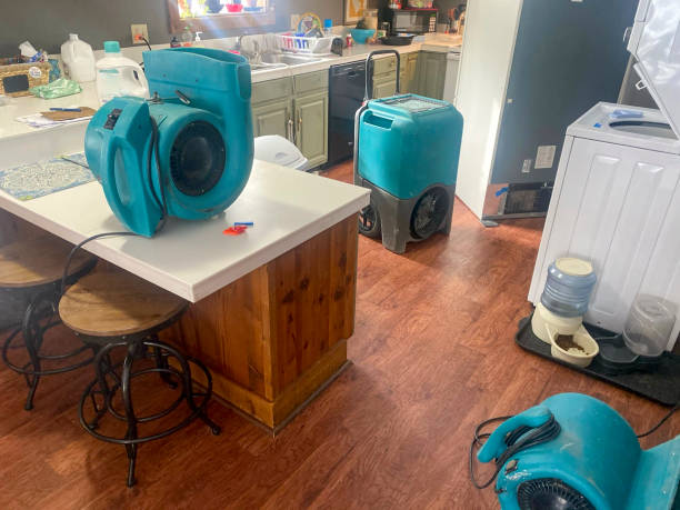 Best Water damage restoration near me  in Bellevue, MI