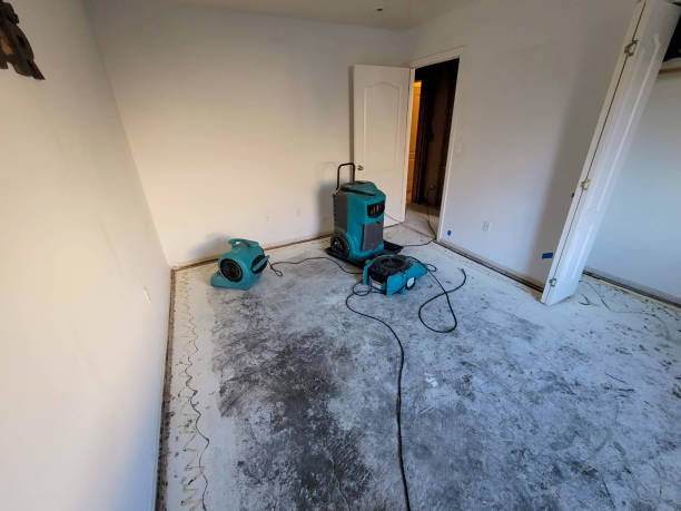 Best Carpet water damage restoration  in Bellevue, MI