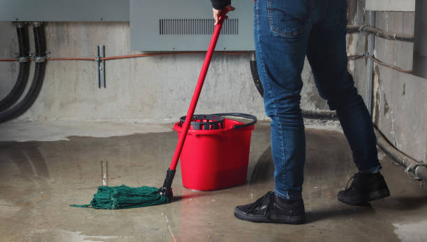 Water damage restoration experts in Bellevue, MI