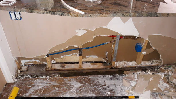 Best Carpet water damage restoration  in Bellevue, MI