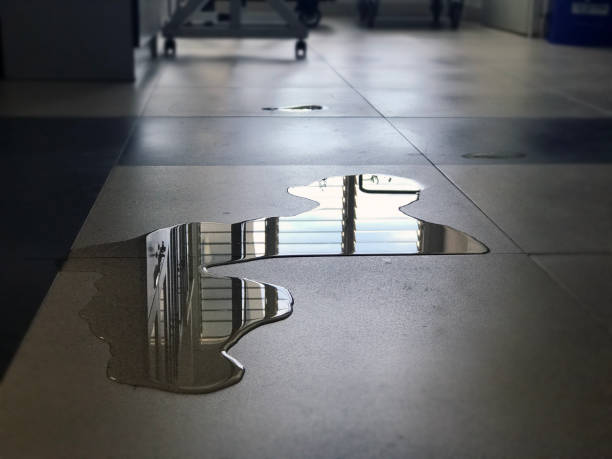 Best 24-hour water damage restoration  in Bellevue, MI