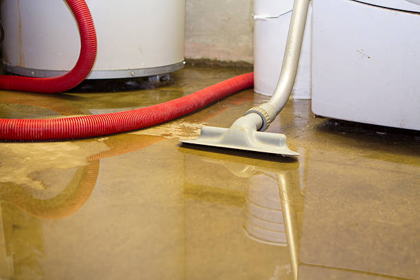 Best Flood damage cleanup  in Bellevue, MI