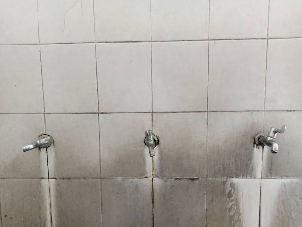Best Water damage restoration insurance claims  in Bellevue, MI