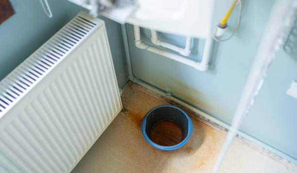 Best Emergency water extraction  in Bellevue, MI