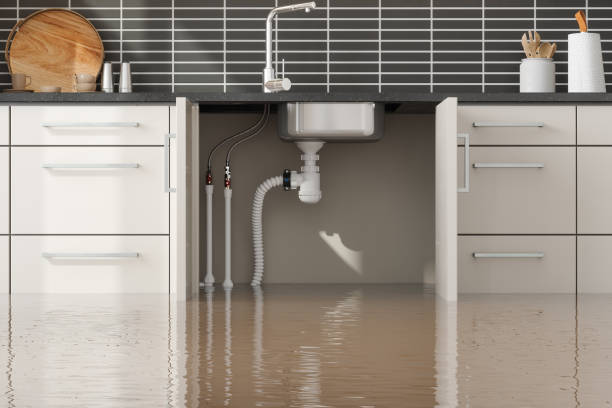 Bellevue, MI Water damage restoration Company