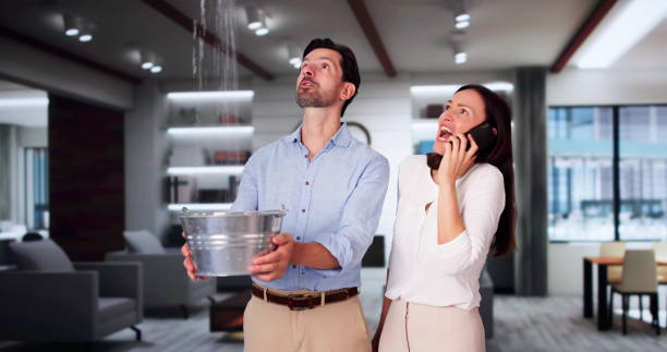 Best Basement water damage restoration  in Bellevue, MI