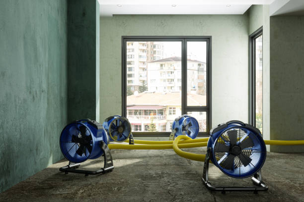 Best Local water damage restoration  in Bellevue, MI