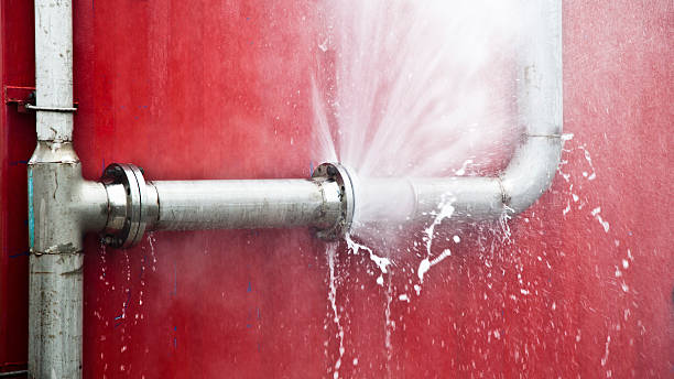 Best Flood restoration services  in Bellevue, MI